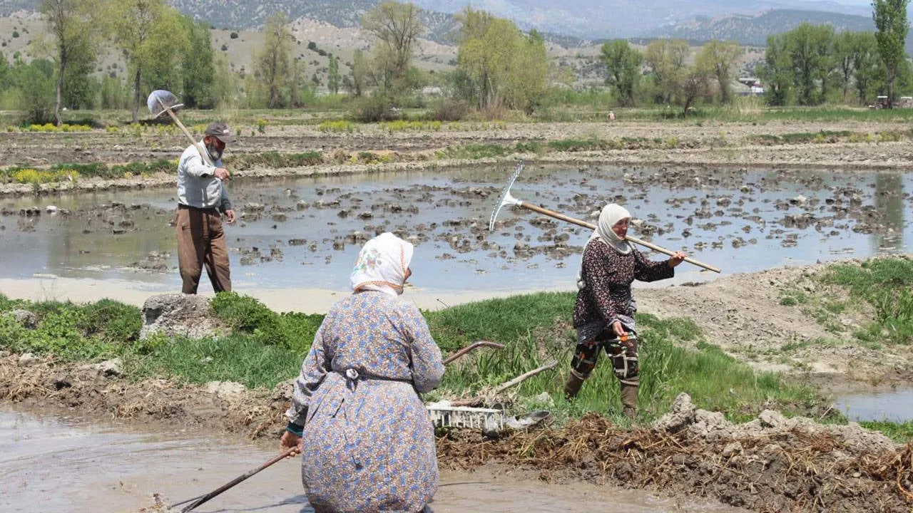 Çiftçi Kendi Toprağında Köle Oldu