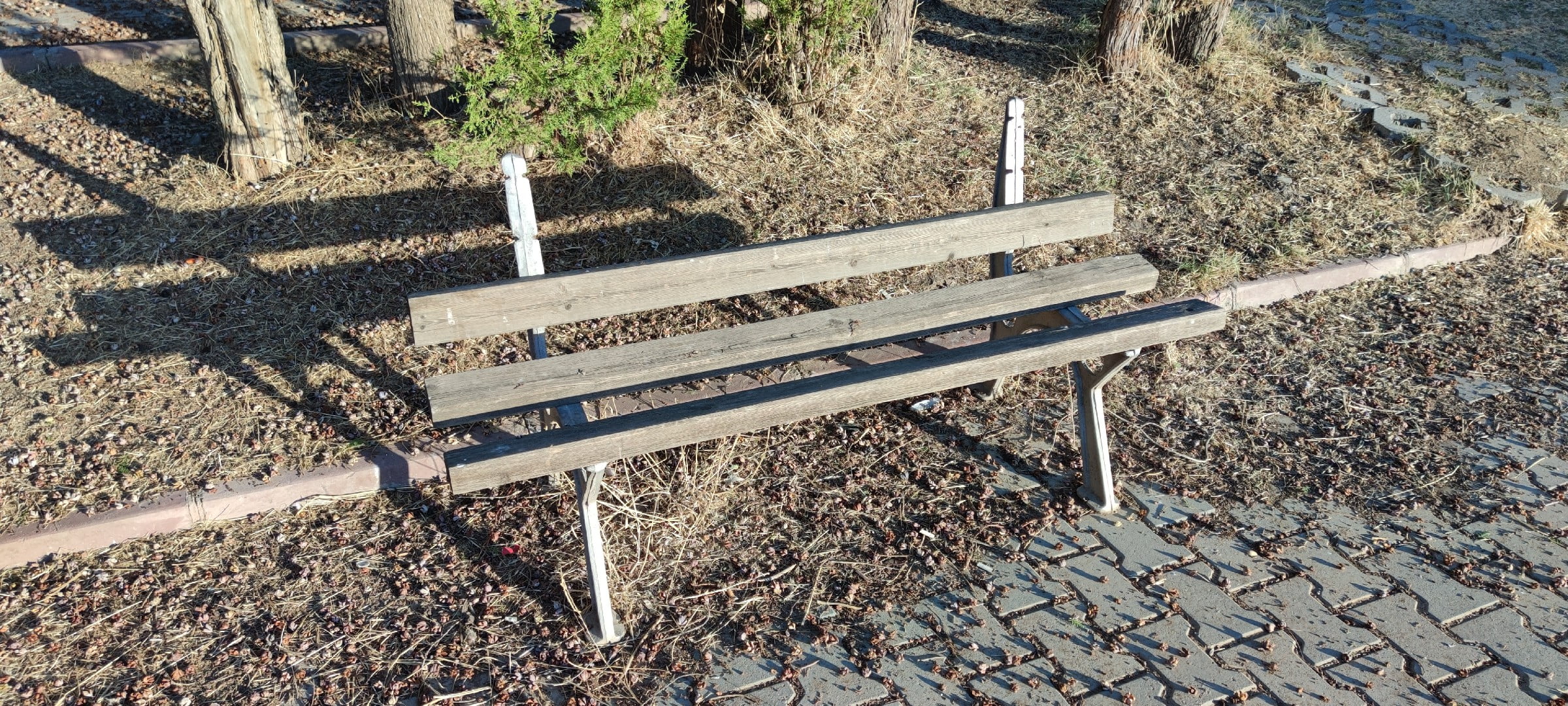 Tabiat Parkı ve Kezer Mesire Alanı Bakım Bekliyor 3 Tabiat Parkı ve Kezer Mesire Alanı Bakım Bekliyor