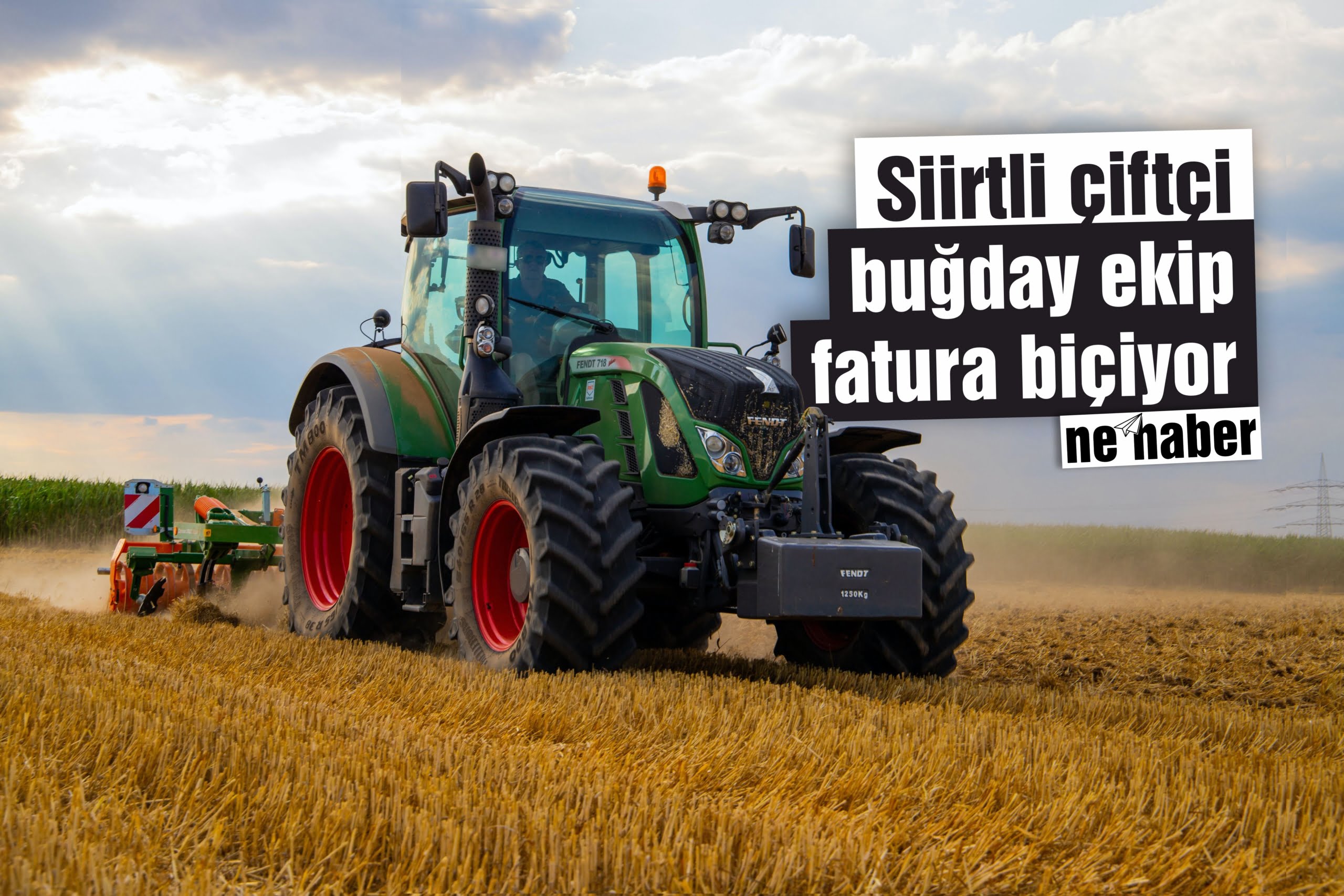 Siirtli çiftçi buğday ekip fatura biçiyor