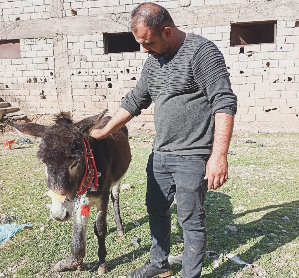 Siirt'te Bir Sıpa Ayağı Kırık Halde Çöplüğe Atıldı