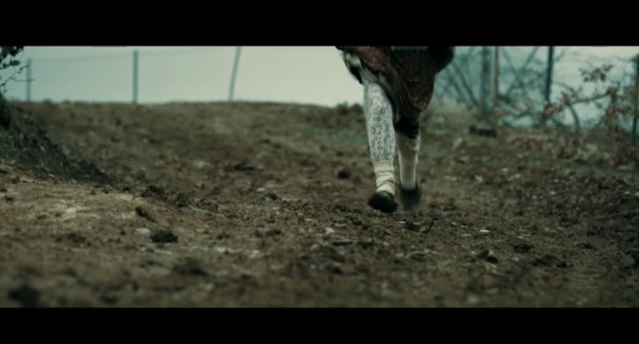 <strong>Elma Filmi Görücüye Çıktı!</strong>