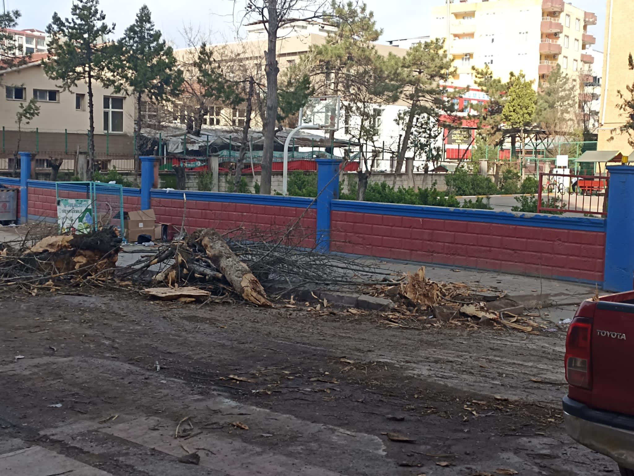 Yeşil Cadde Yapıyoruz Dediler Ağaçları Kestiler 2 Yeşil Cadde Yapıyoruz Dediler Ağaçları Kestiler
