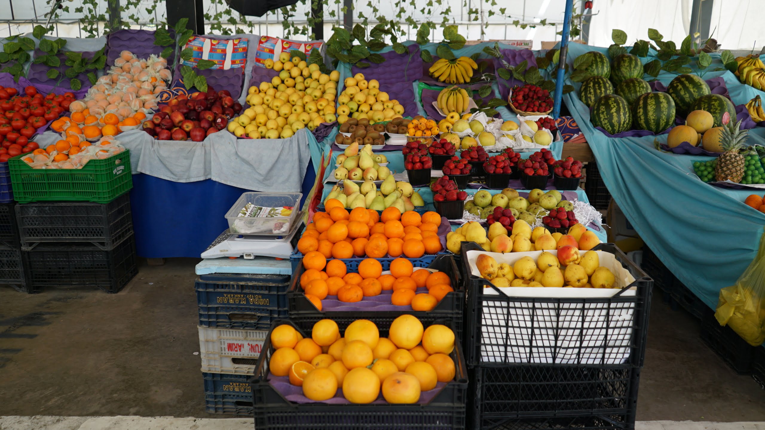 Siirt semt pazarı Siirt’te Meyve Çok Alan Yok