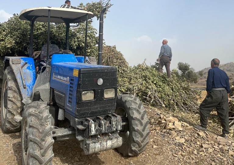 Şırnak’ta Dağda Topladıkları Çalılar, Kışın Hayvanların Besin Kaynağı Oluyor