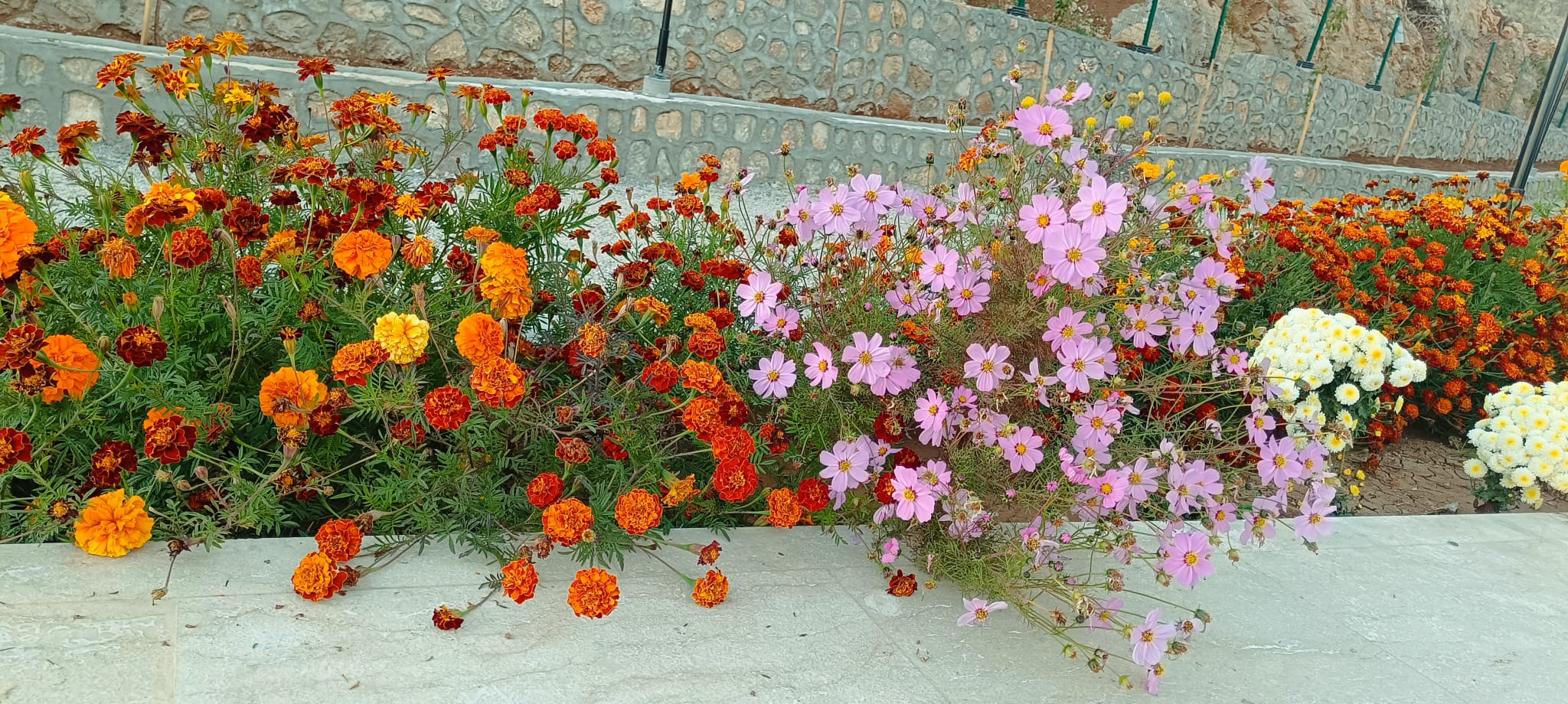 Şırnak’ta Sonbahar Görsel Şenliği