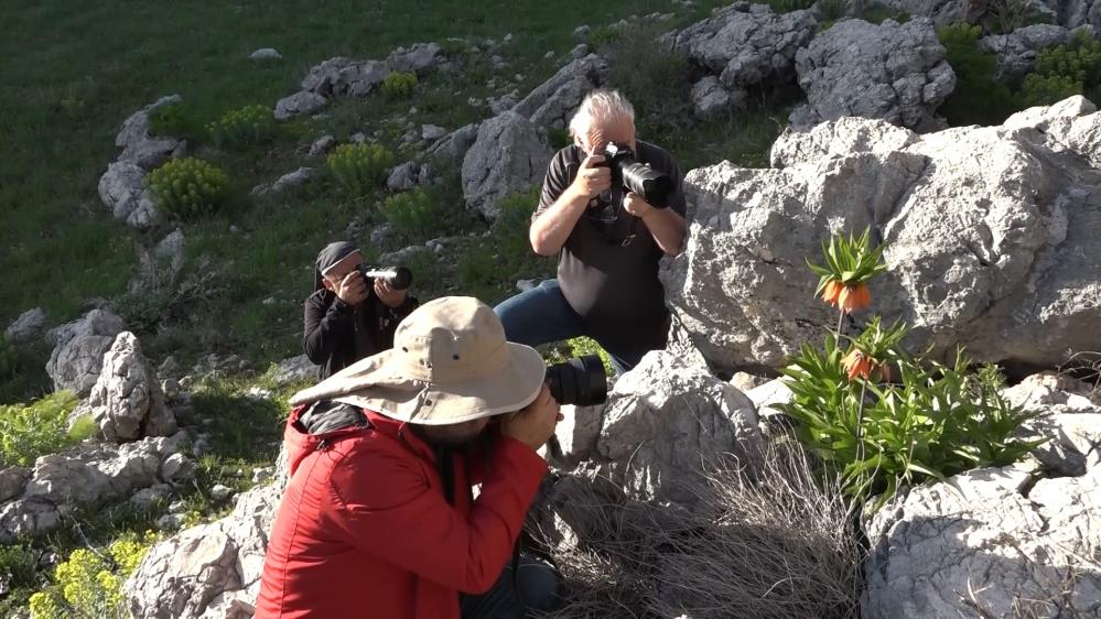 Ağlayan Gelin Ziyaretçi Akınına Uğradı