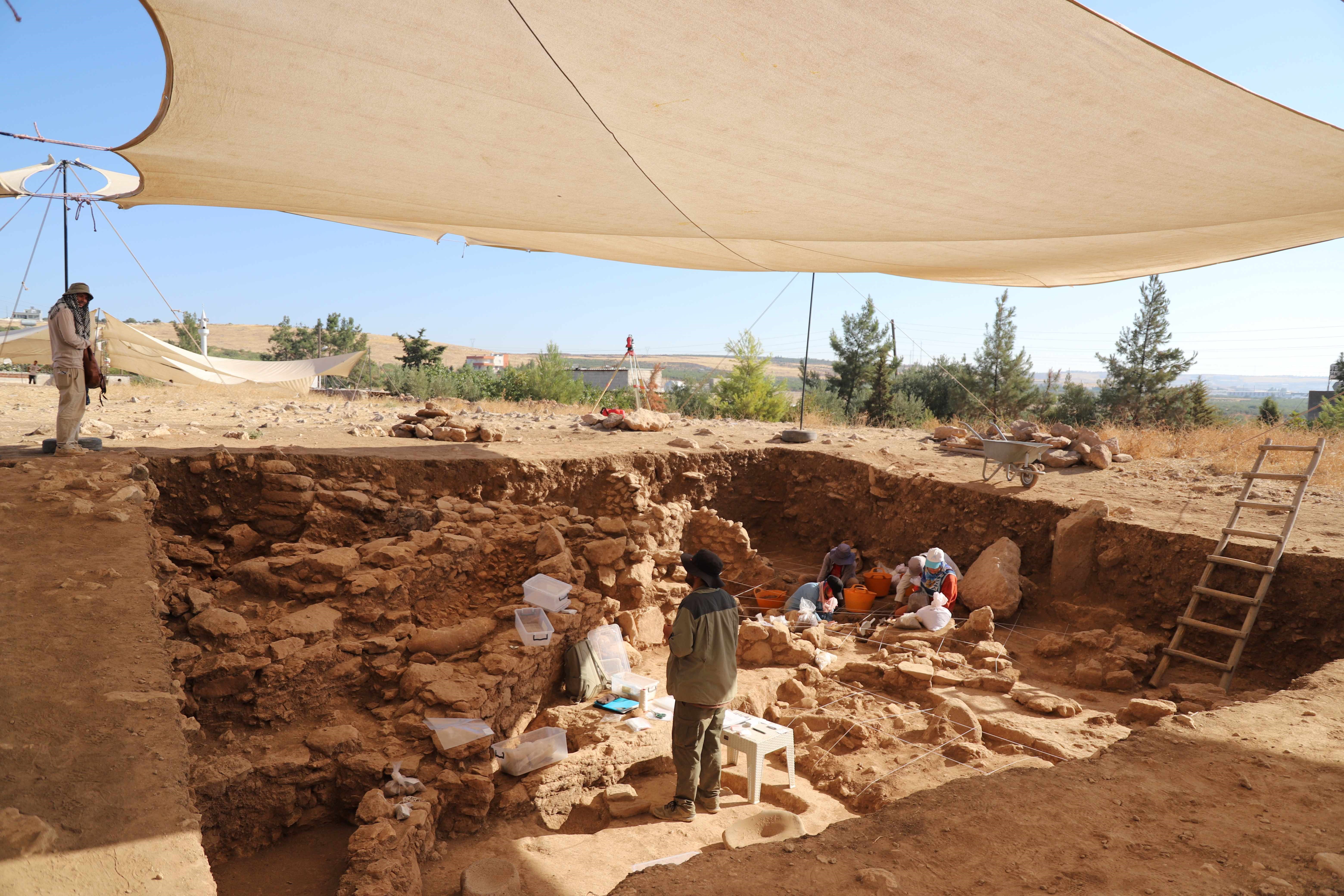Şanlıurfa'da Göbeklitepe Kadar Eski Sayburç Ören Yeri'nde Kazı Çalışmaları Sürüyor 3 Şanlıurfa'da Göbeklitepe Kadar Eski Sayburç Ören Yeri'nde Kazı Çalışmaları Sürüyor