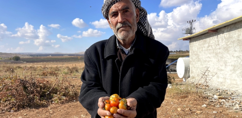 Bej Domates Koruma Altına Alınıyor