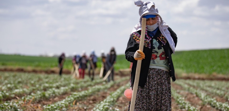 Batman Kuraklık Tehlikesiyle Karşı Karşıya: Yağışlar %41 Azaldı