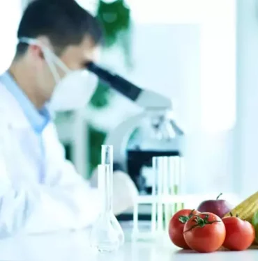 677fb0751847f4ae1e323f42