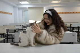 'LABNE' FAKÜLTEDE ÖĞRENCİLERLE DERSLERE GİRİYOR LABNE İSİMLİ KEDİ ÖĞRENCİLERİN MASKOTU HALİNE GELDİ