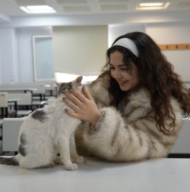 'LABNE' FAKÜLTEDE ÖĞRENCİLERLE DERSLERE GİRİYOR LABNE İSİMLİ KEDİ ÖĞRENCİLERİN MASKOTU HALİNE GELDİ