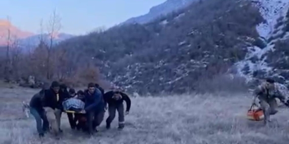 Domuz Sürüsü Saldırdı, Uçurumdan Düştü: Helikopterle Hastaneye Ulaştırıldı