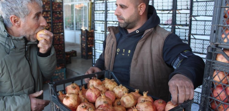 Kendine Has Lezzetiyle Bilinen “Zivzik” Narı Kilosu 30 Liradan Satılıyor