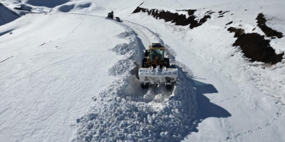 Kar Kaplanları Çığlara Meydan Okuyor