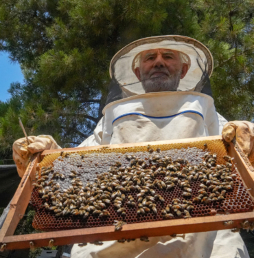 OĞLUNUN ÖLÜMÜNÜN ARDINDAN DEDESİNDEN KALMA ARICILIK MESLEĞİYLE HAYATA TUTUNDU ANTALYA'NIN OKSİJEN DEPOSUNDA BAŞLADIĞI ARICILIK, HAYATA TUTUNMA SEBEBİ OLDU CEVDET HACIİBRAHİMOĞLU: "EŞİM PARKİNSON HASTASI, BU İŞ OLMAZSA ÇÖKERİM"