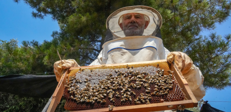 Siirt Arıcılıkta Türkiye’de İlk 5’e Girmeyi Hedefliyor
