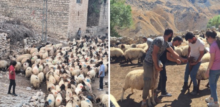 26 Besiciye 6 Milyon 650 Bin Lira Destek Verildi