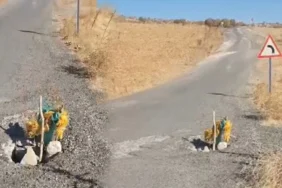 diyarbakir-koy-yolunda-garip-bir-levha1