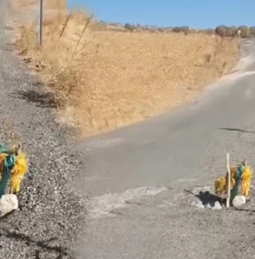 diyarbakir-koy-yolunda-garip-bir-levha1