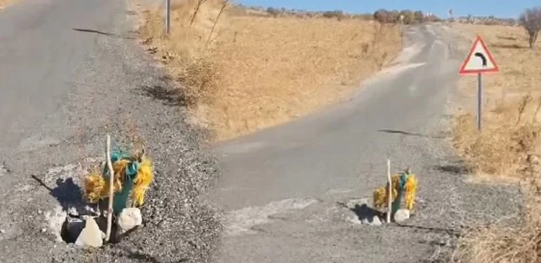 Diyarbakır Köy Yolunda Garip Bir Levha: 1 Yıldır Çözüm Bekliyorlar