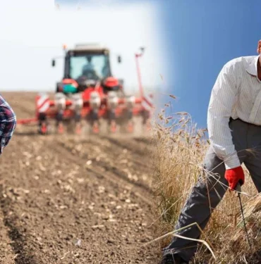 diyarbakirda-borc-batagindaki-ciftci-yol-ayriminda2