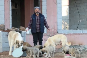 Hurda Geliriyle Sokak Hayvanlarını Besliyor