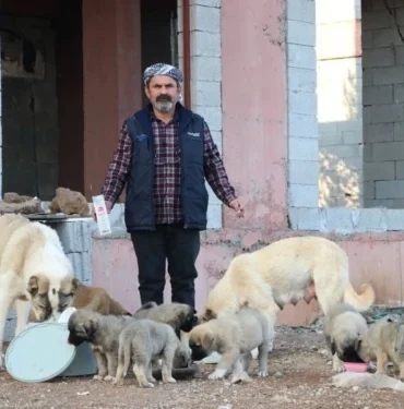 Hurda Geliriyle Sokak Hayvanlarını Besliyor