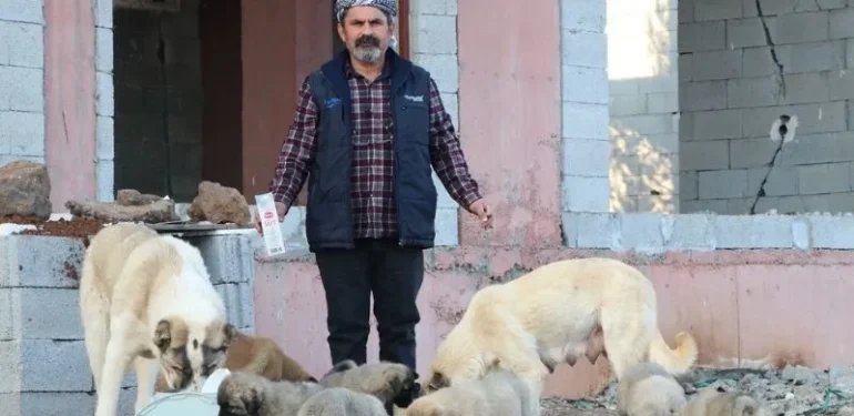 Hurda Geliriyle Sokak Hayvanlarını Besliyor