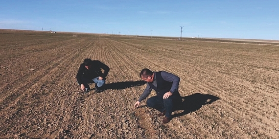 Urfa’da Kuraklık: ‘Sulama Sistemleri Hayata Geçirilsin’