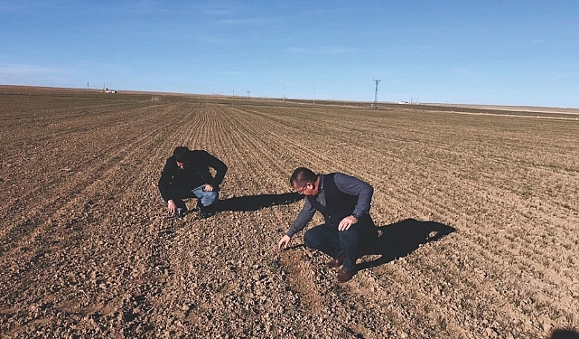 Urfa’da Kuraklık: ‘Sulama Sistemleri Hayata Geçirilsin’