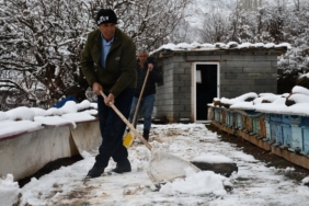 ARICILARIN KIŞ MESAİSİ SÜRÜYOR