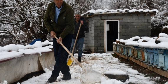 Arıcıların Kış Mesaisi Sürüyor