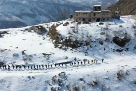 dogaseverler-diyarbakirdaki-italyan-koyunu-kesfetti