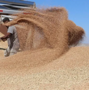 guneydoguda-ihracat-bereketi1