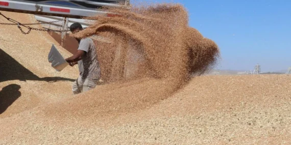 Güneydoğu’da İhracat Bereketi