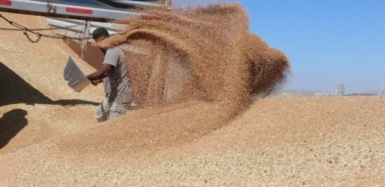 Güneydoğu’da İhracat Bereketi