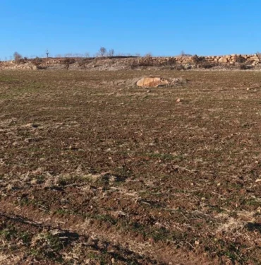 kurak-kis-guneydogudaki-ciftcileri-kara-kara-dusunduruyor2