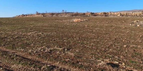 Kurak Kış, Güneydoğu’daki Çiftçileri Kara Kara Düşündürüyor!
