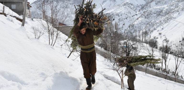 Besiciler Zorlu Kış Şartlarında Meşe Yapraklarıyla Hayvanlarını Besliyor