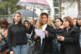 Rosa Kadın Derneği: İki Ayda 49 Kadın Katledildi