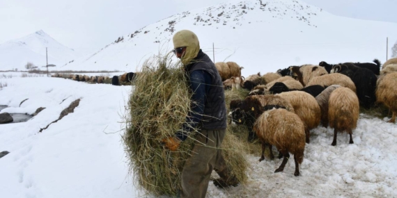 26 Yıllık Ömrünü Yaylada Geçirdi