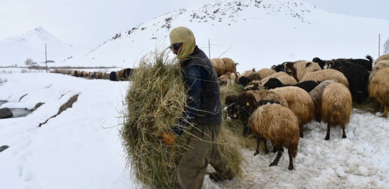 26 Yıllık Ömrünü Yaylada Geçirdi