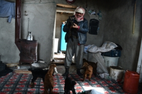 VANLI BESİCİ, 9 YILDIR ŞIRNAK'TAKİ FARAŞİN YAYLASI'NDA HAYVANLARIYLA YAŞIYOR 65 YAŞINDAKİ BESİCİ 2 ODALI KERPİÇ EVDE OĞLAKLARIYLA YAŞIYOR