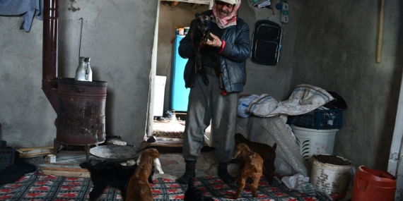 Vanlı Besici, 9 Yıldır Faraşin Yaylası’nda Hayvanlarıyla Yaşıyor