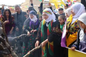 mardin savur newroz