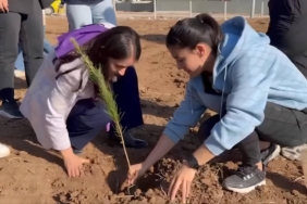 silopide-kadinlar-8-martta-agac-dikti-2