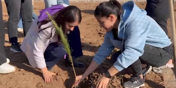 Kadınlar 8 Mart Kapsamında Ağaç Dikti