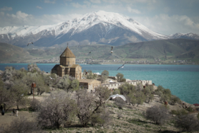 van akdamar badem çiçeği