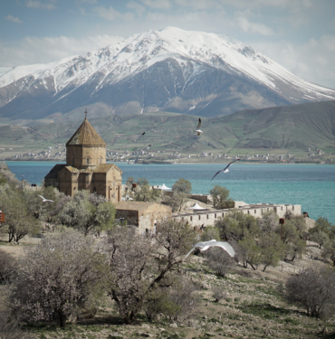 van akdamar badem çiçeği